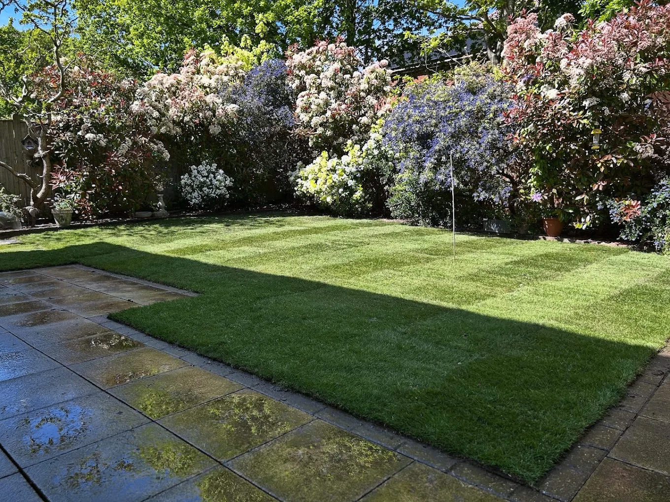 Mature planting and colourful borders in a landscaped garden